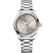 Seamaster Aqua Terra Shades 34 mm, steel on steel - 22010342009001