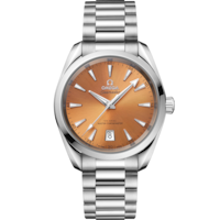 Seamaster Aqua Terra Shades 38 มม., สตีล บน สตีล - 22010382012001
