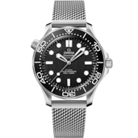 Seamaster Diver 300M 42 mm, steel on steel - 21030422001010