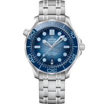 Seamaster Diver 300M 42 mm, steel on steel - 21030422003003